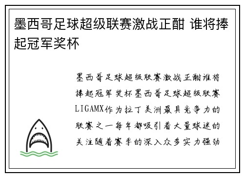 墨西哥足球超级联赛激战正酣 谁将捧起冠军奖杯